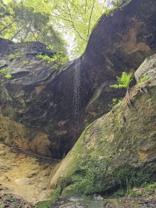 Leśne TermoSPA wąwóz czarownic