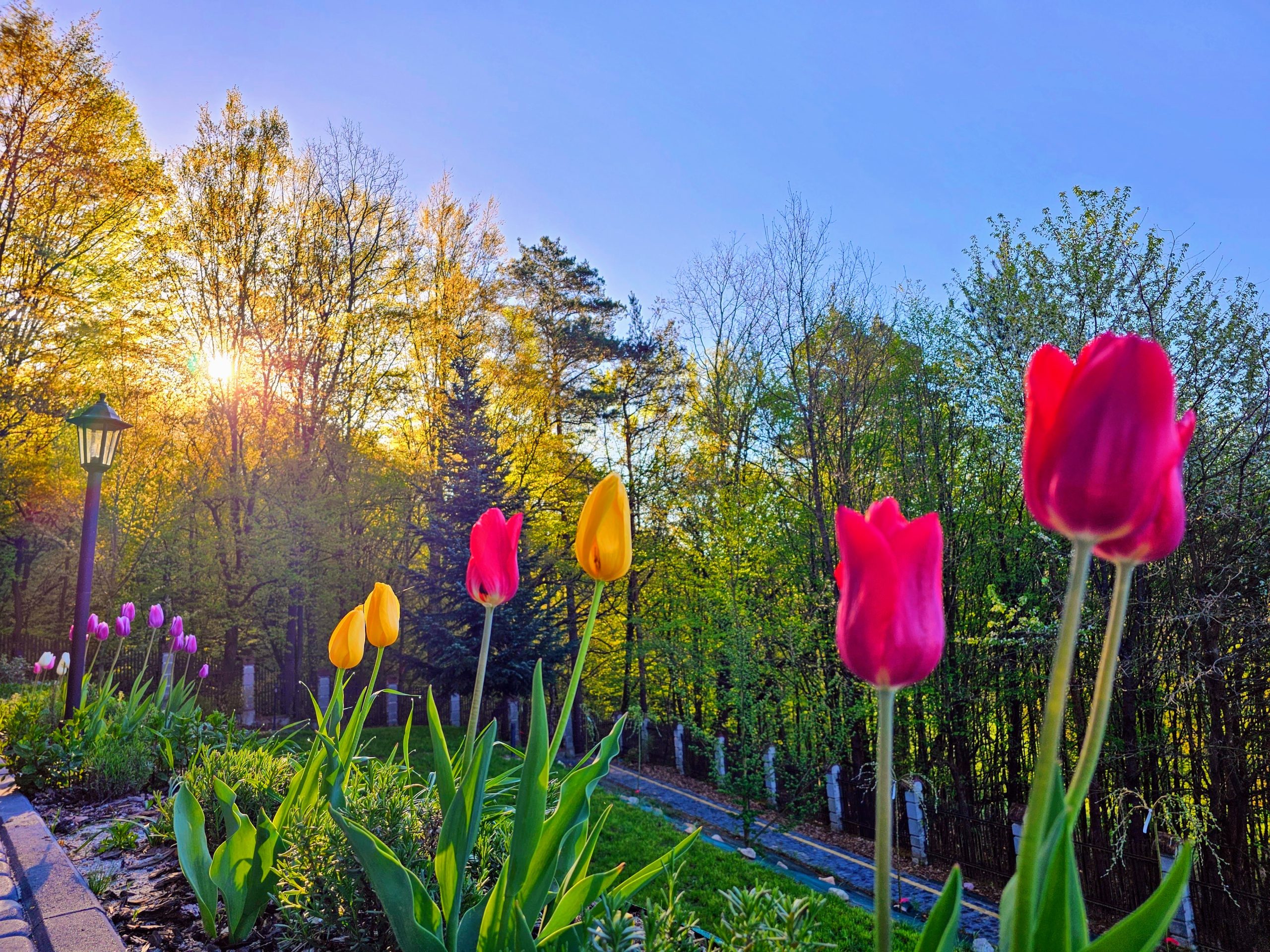 Leśne TermoSPA_ogród
