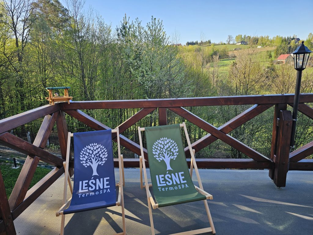 Leśne TermoSPA_taras